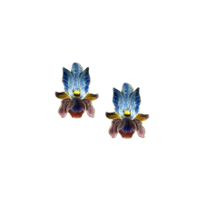 Bearded Iris post earrings