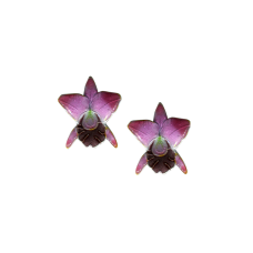 Cattleya Orchid posts