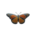 Monarch Butterfly pin