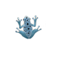 Poison Dart Frog (Blue)

