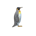 King Penguin pin 