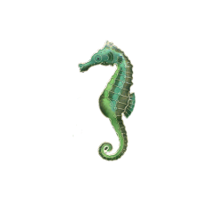 Seahorse Green pin 