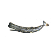 Sperm Whale pin