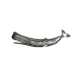 Sperm Whale
