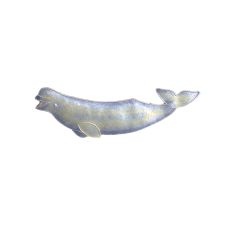 Beluga Whale pin