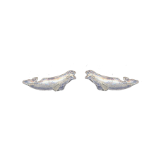 Beluga Whale post earrings