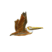 Brown Pelican pin