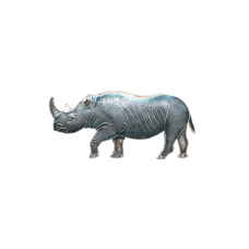 Rhinoceros pin 