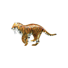 Tiger pin 