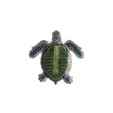 Olive Ridley Sea Turtle pin