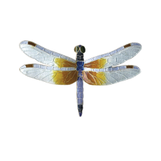 Great Blue Skimmer Dragonfly pin 
