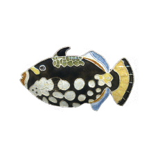 Clown Triggerfish pin