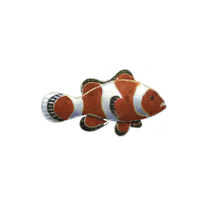 Clownfish pin