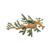 Leafy Seadragon pin