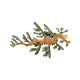 Leafy Seadragon
