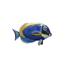 Powder Blue Surgeonfish pin