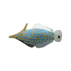 Long-nosed Filefish pin