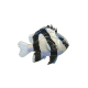 Three-Striped Damselfish
