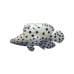 Polka-dot Grouper pin