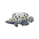 Polka-Dot Grouper
