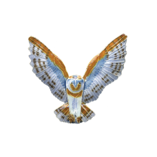 Barn Owl pin