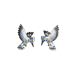 Kingfisher post earrings