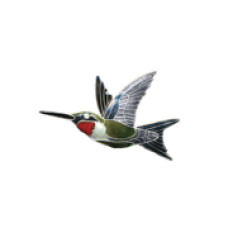 Ruby-throated Hummingbird pin 