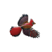Cardinal pin 