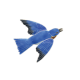 Bluebird
