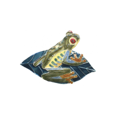 Red-eyed Frog pin