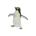 Adelie Penguin pin