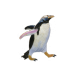 Gentoo Penguin pin