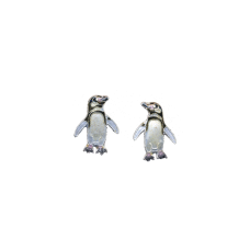 Magellanic Penguin post earrings