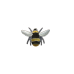 Bee pin