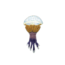 Jellyfish Spotted pin