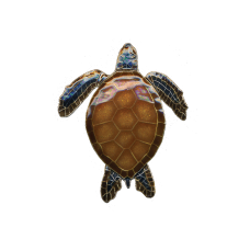 Green Sea Turtle (top view) pin