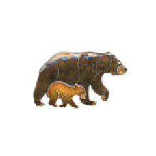 Bear & Cub pin