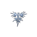 Atlantic Nudibranch pin 