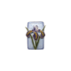 Japanese Iris

