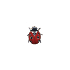 Ladybug pin