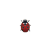 Ladybug pin
