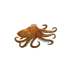 Octopus pin