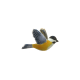 Chickadee (Bright Yellow)
