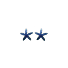 Sea Star (Dark Blue) post earrings