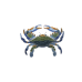 Blue Crab pin 