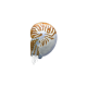 Nautilus
