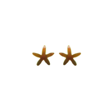 Sea Star (Orange) post earrings