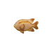 Garibaldi Fish pin