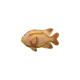 Garibaldi Fish
